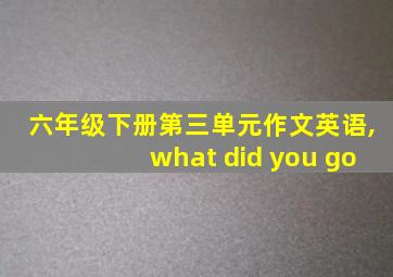 六年级下册第三单元作文英语,what did you go